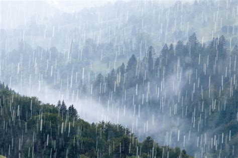 下大雨圖|70000 多张免费的“下雨”和“雨”照片